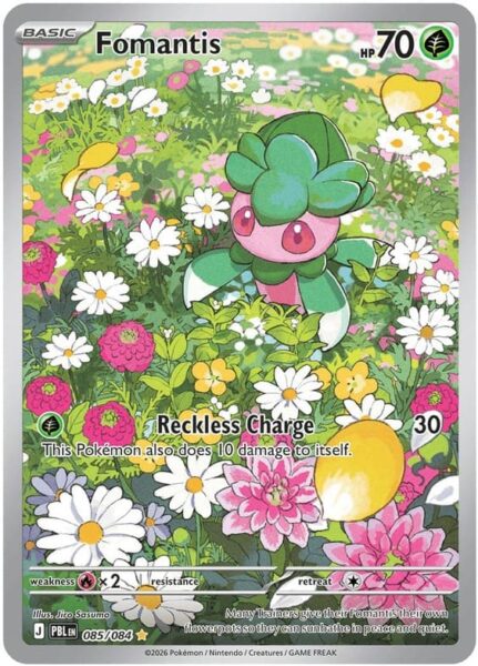 Fomantis-085-084-Pitch-Black-Dunkelnacht-Illustration-Rare-Pokémon-Karte-Englisch-neu