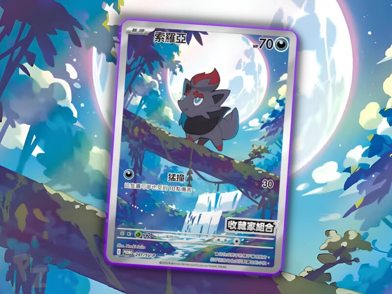 Illustrationskarte-Ilustration-Rare-Promo-Pokémon-Karte-Zorua-enthüllt-China-Japan-TCG-1