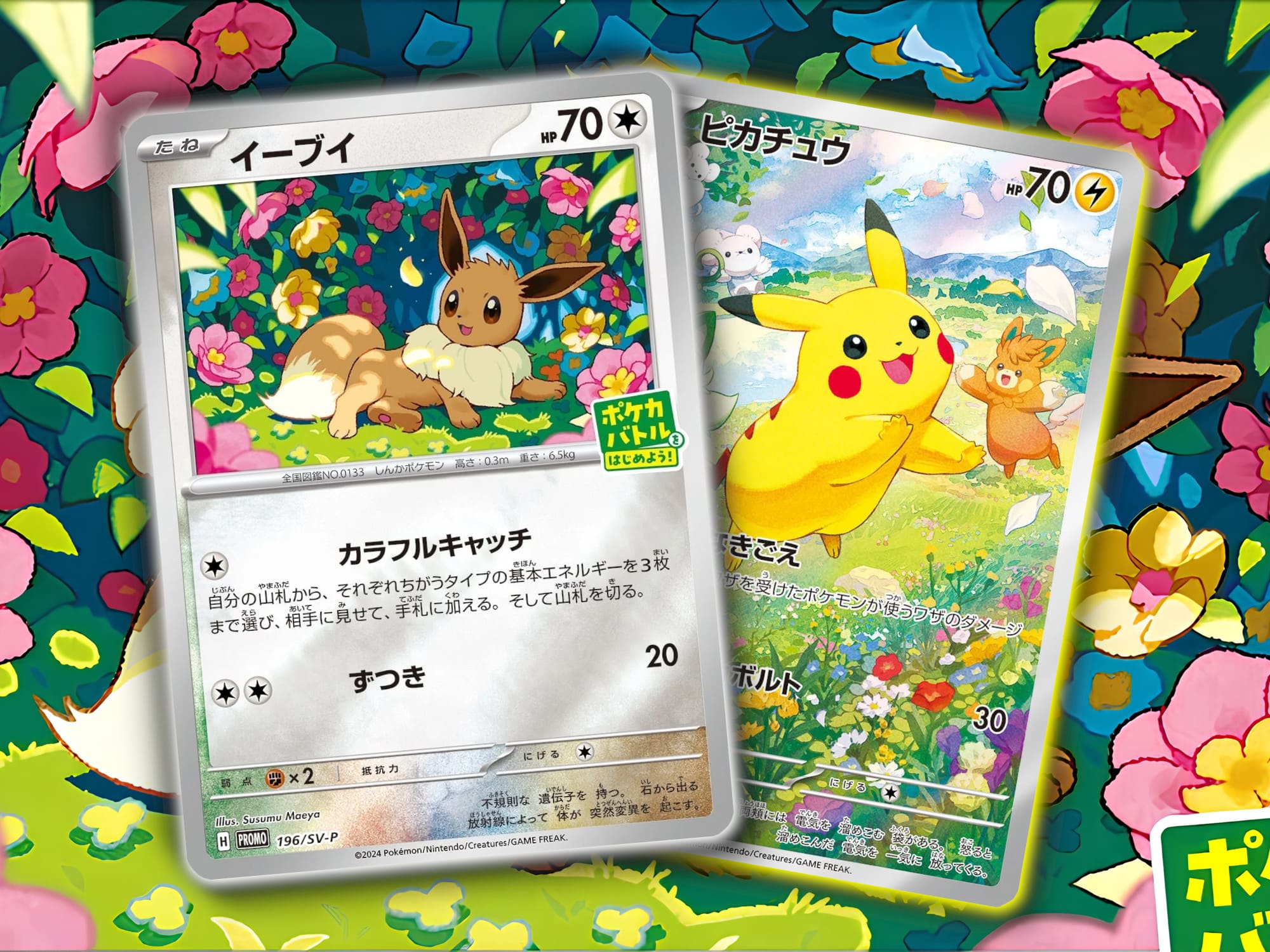 Japanische-Pokémon-Promokarten-Kampagne-Sommer-2024-TCG-Sammelkartenspiel-Evoli-Pikachu-1