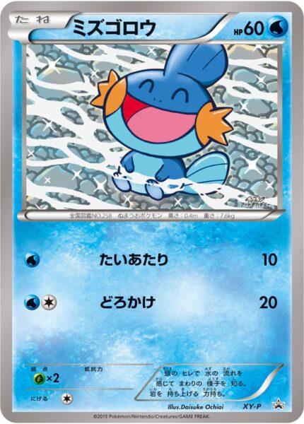Mudkip-Hydropi-XY-P-Art-Academy-Promo-Pokémon-Karte-Card-Japan-TCG-2015