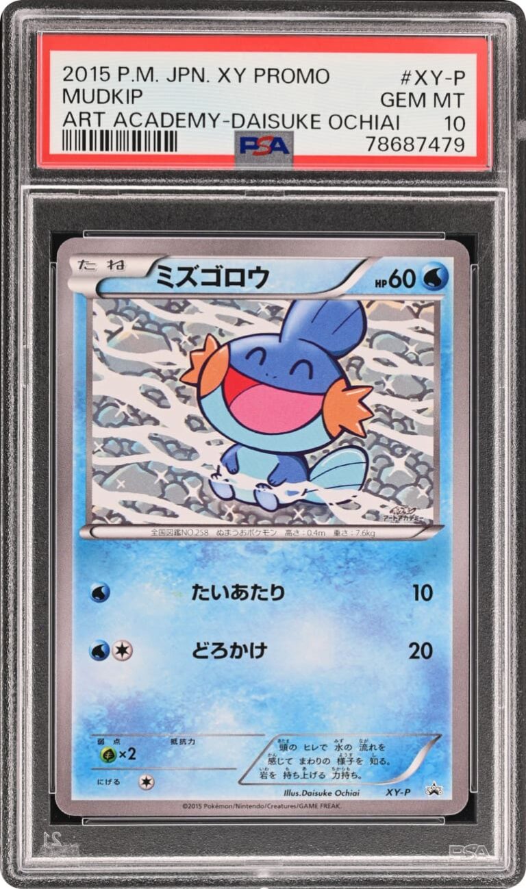 Mudkip-Hydropi-XY-P-Art-Academy-Promo-Pokémon-Karte-Card-Japan-TCG-2015-PSA-10