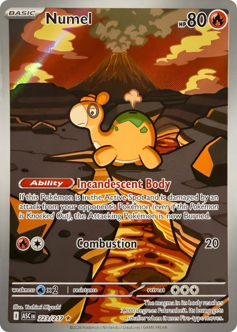 Numel-Camaub-223-217-ASC-Illustration-Rare-Ascended-Heroes-Pokemon-Karte-Englisch-2026
