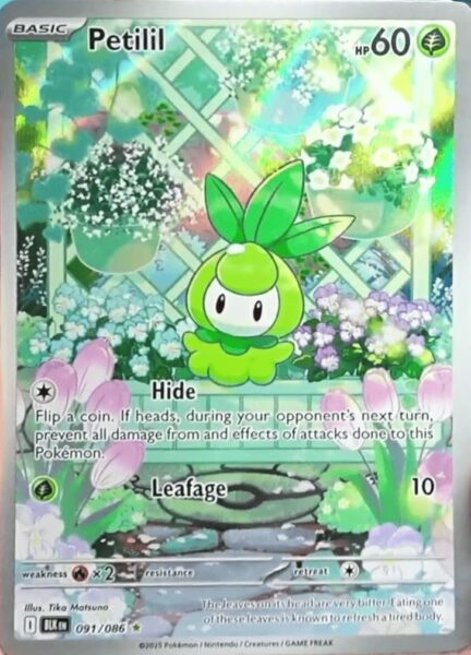 Petilil-091-086-BLK-Black-Bolt-Schwarze-Blitze-Pokémon-Karte-Englisch