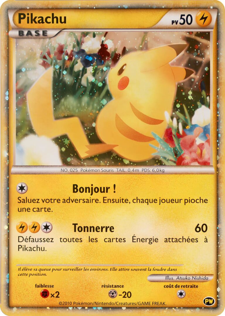 Pikachu-PW-World-Collection-2010-French-Französisch-Pokémon-Karte