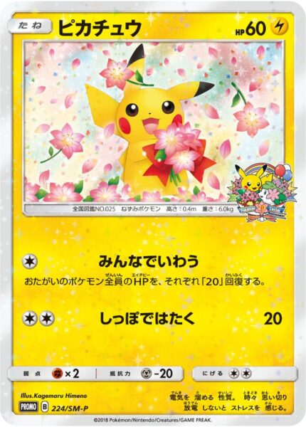 Pikachu_224-SM-P_Pokémon-Center-20th-Anniversary-Promo_2018