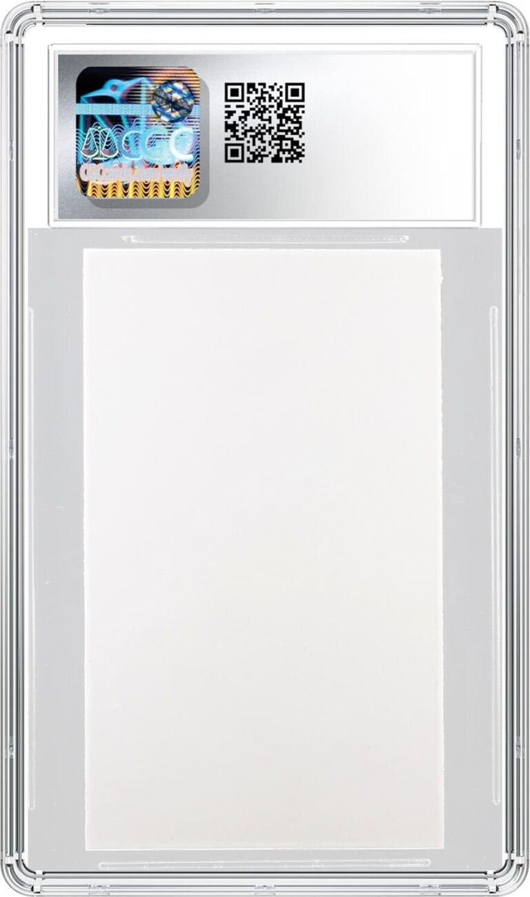 Pokémon-Alpha-Protoypt-Card-Karte-Pikachu-1995-Japanese-Back