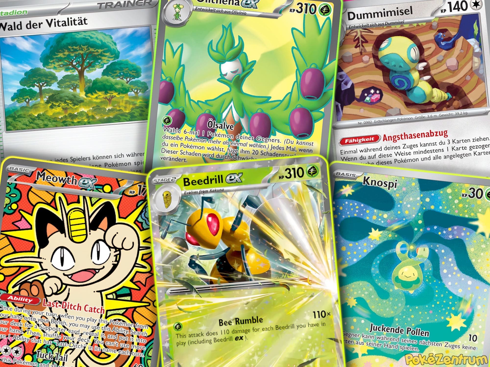 Pokemon-Bibor-ex-Deck-Liste-Anleitung-Strategie-Guide-TCG-Sammelkartenspiel-2026