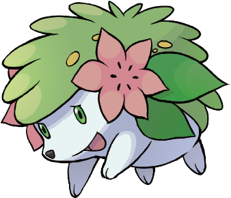 Ein Bild vom Pokemon Shaymin
