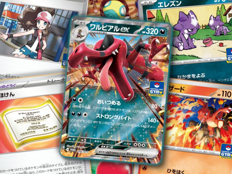 Pokémon-Gym-Promo-Karten-Cards-Japan-November-2025-TCG
