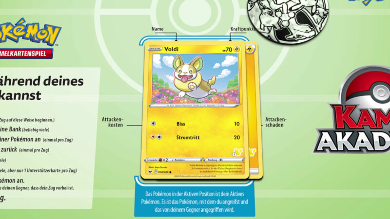 Pokémon-Kampf-Akademie-Anleitung-Grundlagen-14