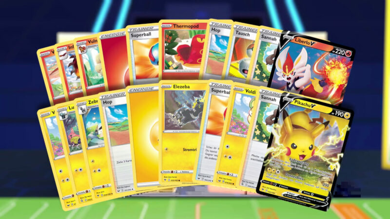 Pokémon-Kampf-Akademie-Anleitung-Grundlagen-2