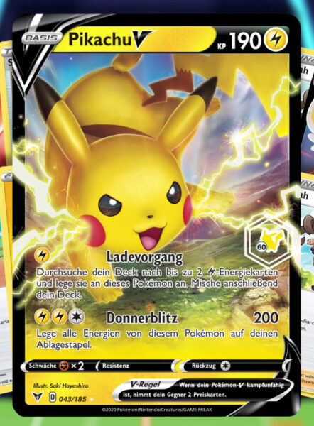 Pokémon-Kampf-Akademie-Anleitung-Grundlagen-3