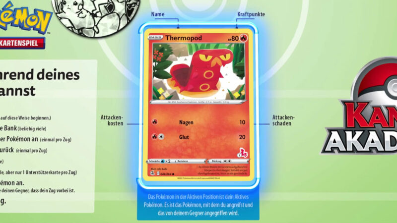 Pokémon-Kampf-Akademie-Anleitung-Grundlagen-8