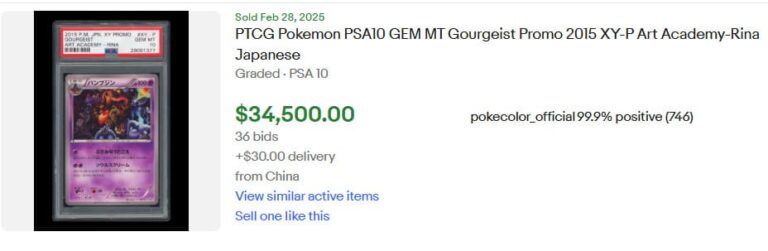 Pokémon-Karten-Höchstpreise-Top-Verkäufe-März-2025-Gourgeist-XY-P-Art-Academy-TCG-Sammelkartenspiel