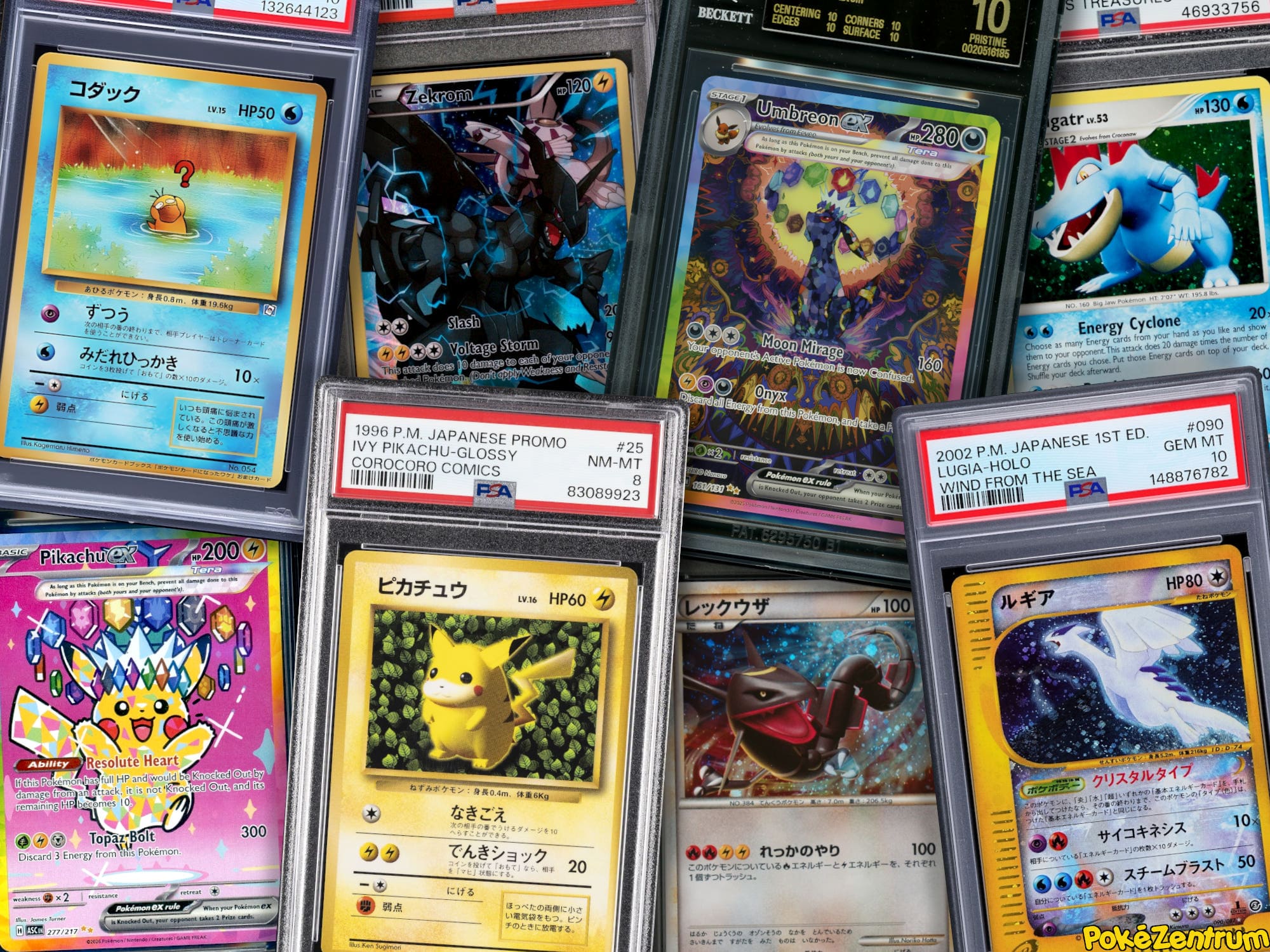 Pokemon-Karten-Rekordpreise-Top-Verkaeufe-August-2026-Uebersicht-Liste-TCG-Sammelkartenspiel