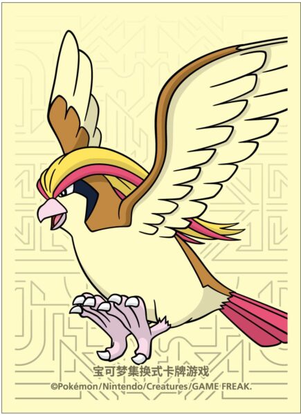 Pokémon-Master-Strategy-Construction-Set-Box-China-Sleeves-Tauboss