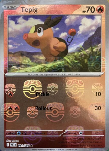 Pokémon-Schwarze-Blitze-Weiße-Flammen-Master-Ball-Reverse-Holo-Pokémon-Karte