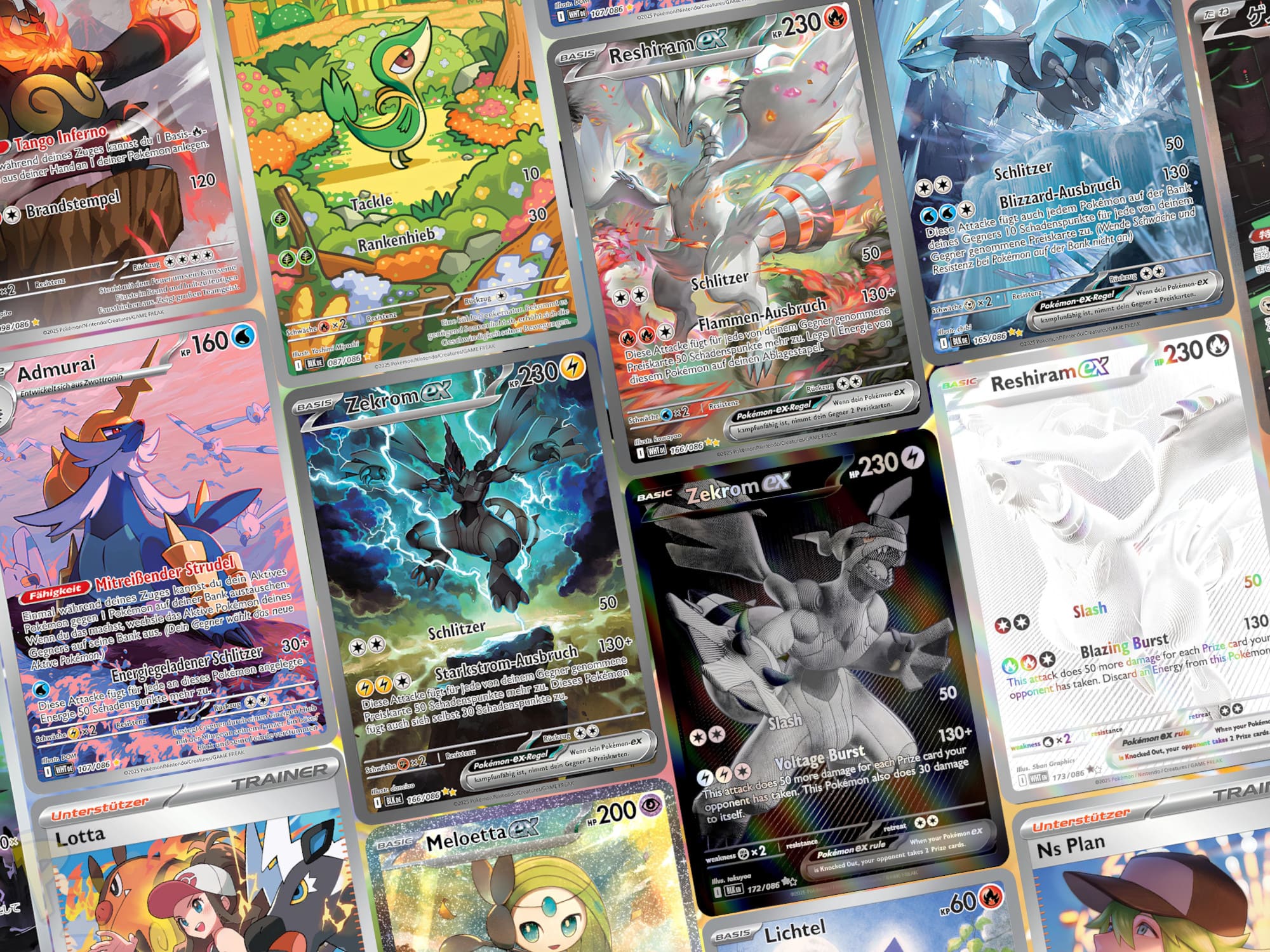 Pokémon-Schwarze-Blitze-Weiße-Flammen-Secret-Rare-Karten-Illustration-Full-Art-Übersicht-Liste-Galerie-2