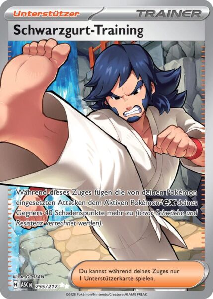 Schwarzgurt-Training-255-217-ASC-DE-Erhabene-Helden-Illustration-Rare-Pokémon-Karte-Deutsch
